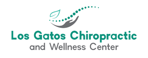 https://www.blossombirthandfamily.org/uploads/4/2/6/3/42636765/los-gatos-chiropractic-logo_orig.png